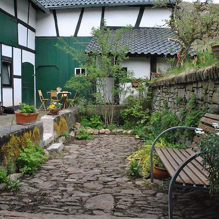 Ferienwohnungen Tuermchen Gemund Bagian luar foto